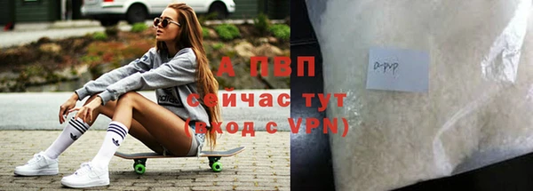 spice Богородск