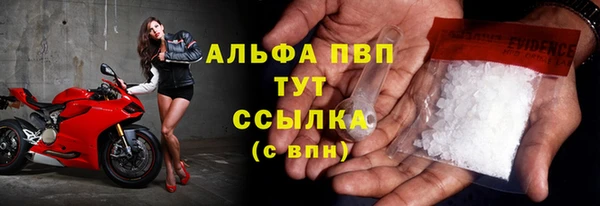 spice Богородск