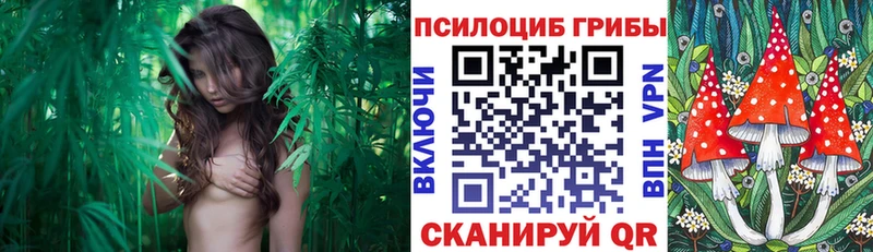 Купить где  Бирюч  Галлюциногенные грибы мухоморы 